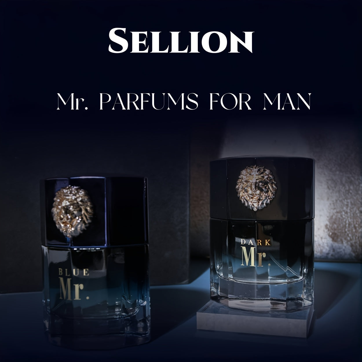 Coffret Cadeau Eau De Parfum Pour Homme Sellion Mr. - 100Ml, Parfum Boisé Et Fougère Longue Durée, Idéal Pour Le Quotidien, Les Voyages Et Comme Cadeau